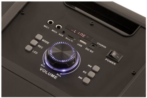 Колонка Goldstar GPA-608 фото 3