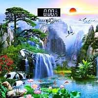 Весы нап. Maxtronic MAX-266