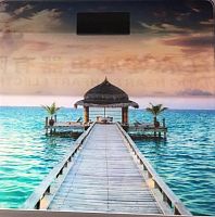 Весы нап. Maxtronic MAX-284.