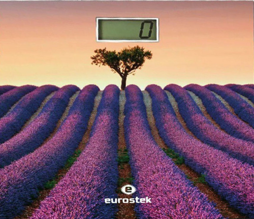 Весы нап. Eurostek EBS-2808