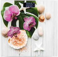 Весы нап. Atlanta ATH-6143