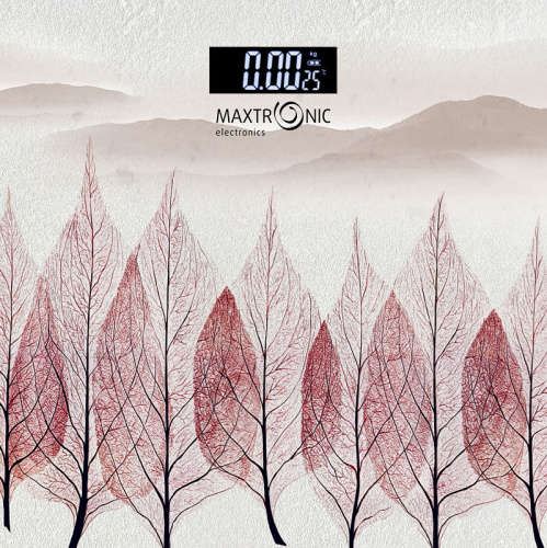 Весы нап. Maxtronic MAX-269