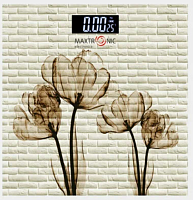 Весы нап. Maxtronic MAX-290