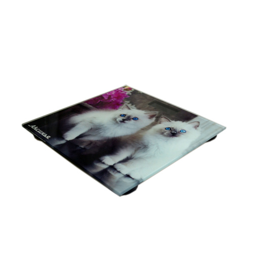 Весы нап. Аксинья КС-6003 фото 3