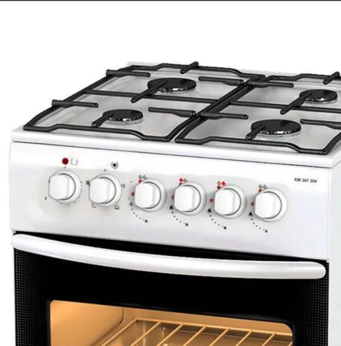 Газоэлектрическая плита Дарина F KM 341 304 W фото 6