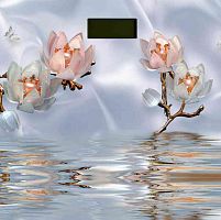 Весы Maxtronic MAX-311