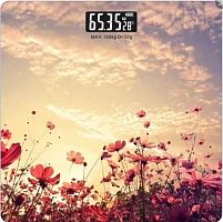 Весы нап. Maxtronic MAX-BS-4126B