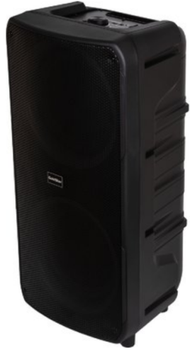 Колонка Goldstar GPA-608 фото 4