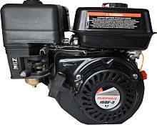 Двигатель Парма 168F-2