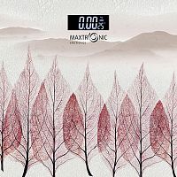 Весы нап. Maxtronic MAX-269
