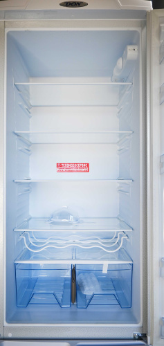 Холодильник Don R-299 К снежная королева фото 21