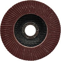 Круг лепестковый торцевой Targ 125*22 P 80