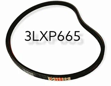 Ремень д/снегоуборщика 3LXP*665