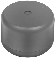 Умная колонка Yandex Станция Лайт 2 серый