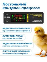 Инкубатор Green Farmer СКВ-36
